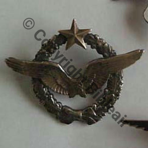 BREVET PILOTE  WW2 No 32611  SM 2Anneaux Dos lisse  150Eur03.09 Sc.ridix09 